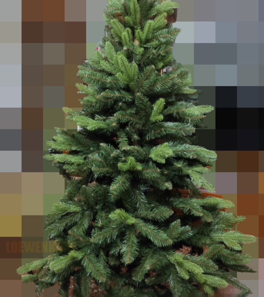Weihnachtsbaum von 2022